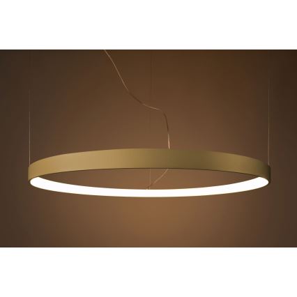 Thoro TH.174 - LED Hanglamp aan een koord RIO LED/50W/230V CRI 90 3000K diameter 78 cm goud