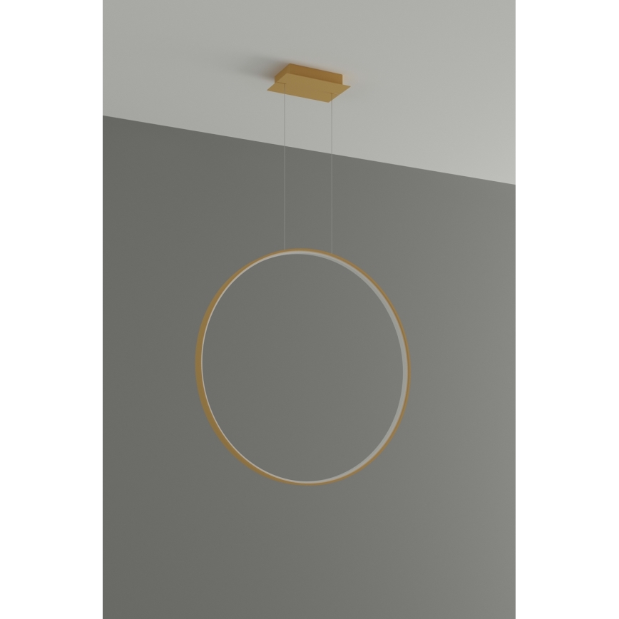 Thoro TH.175 - LED Hanglamp aan een koord RIO LED/50W/230V CRI 90 3000K diameter 78 cm goud