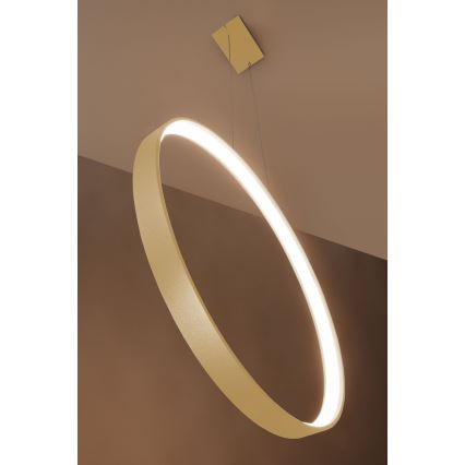 Thoro TH.175 - LED Hanglamp aan een koord RIO LED/50W/230V CRI90 3000K diameter 78 cm goud