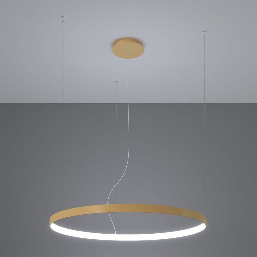 Thoro TH.181 - LED  Hanglamp aan een koord RIO LED /50W/230V CRI 95 4000K diameter 78 cm goud