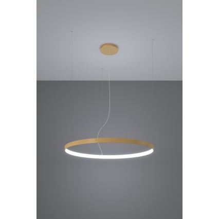 Thoro TH.181 - LED  Hanglamp aan een koord RIO LED /50W/230V CRI 95 4000K diameter 78 cm goud