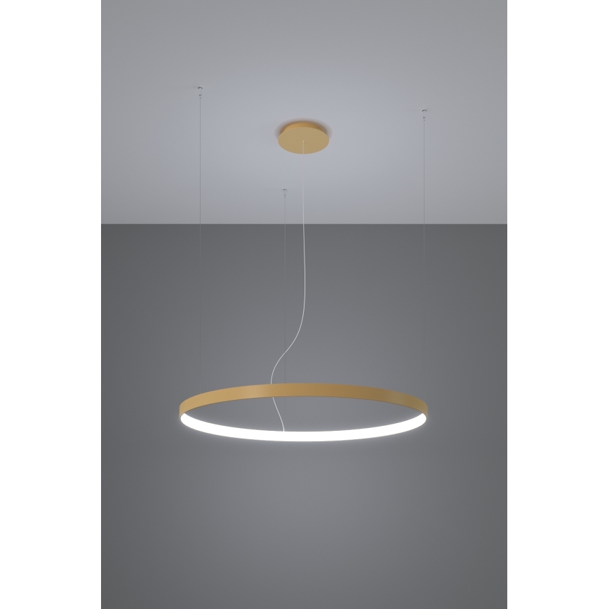 Thoro TH.181 - LED  Hanglamp aan een koord RIO LED /50W/230V CRI 95 4000K diameter 78 cm goud
