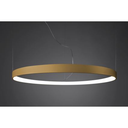 Thoro TH.181 - LED  Hanglamp aan een koord RIO LED /50W/230V CRI 95 4000K diameter 78 cm goud