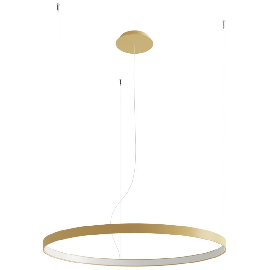 Thoro TH.181 - LED  Hanglamp aan een koord RIO LED /50W/230V CRI 95 4000K diameter 78 cm goud