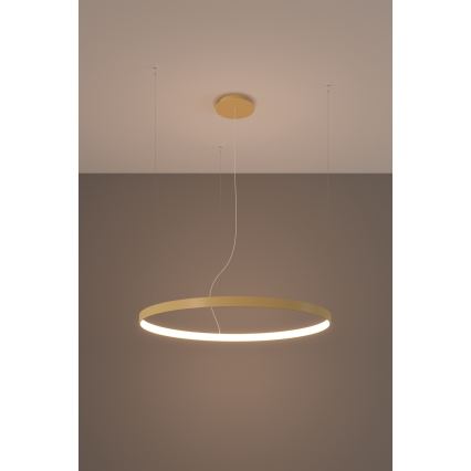 Thoro TH.216 - LED Hanglamp aan een koord RIO LED/30W/230V CRI90 3000K diameter 55 cm goud