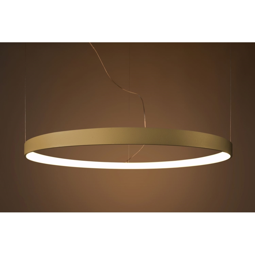 Thoro TH.216 - LED Hanglamp aan een koord RIO LED/30W/230V CRI 90 3000K diameter 55 cm goud