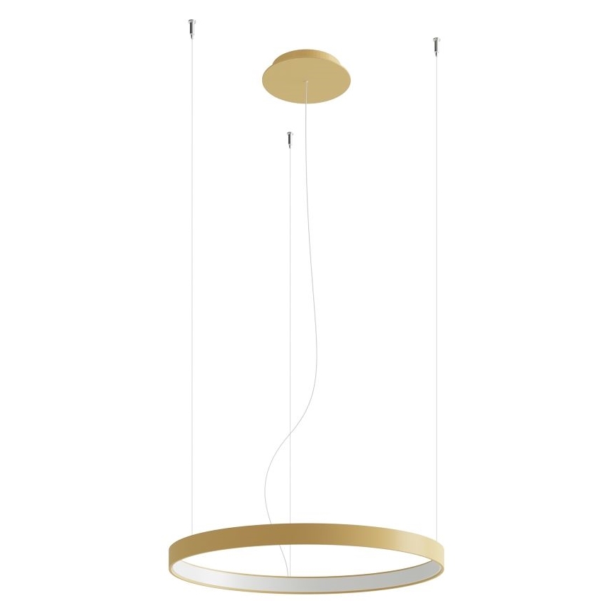 Thoro TH.216 - LED Hanglamp aan een koord RIO LED/30W/230V CRI 90 3000K diameter 55 cm goud