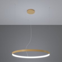 Thoro TH.217 - LED Hanglamp aan een koord RIO LED/30W/230V CRI95 4000K diameter 55 cm goud