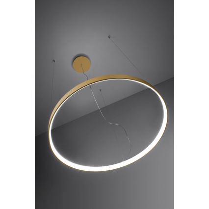 Thoro TH.217 - LED Hanglamp aan een koord RIO LED/30W/230V CRI95 4000K diameter 55 cm goud