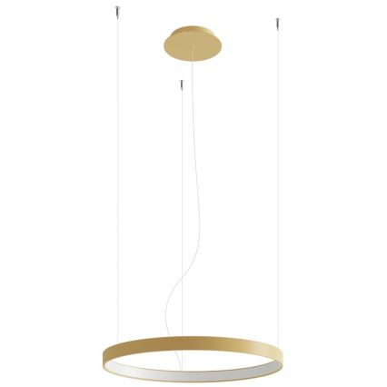 Thoro TH.217 - LED Hanglamp aan een koord RIO LED/30W/230V CRI 95 4000K diameter 55 cm goud