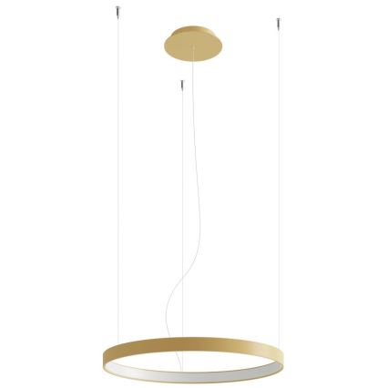 Thoro TH.217 - LED Hanglamp aan een koord RIO LED/30W/230V CRI95 4000K diameter 55 cm goud