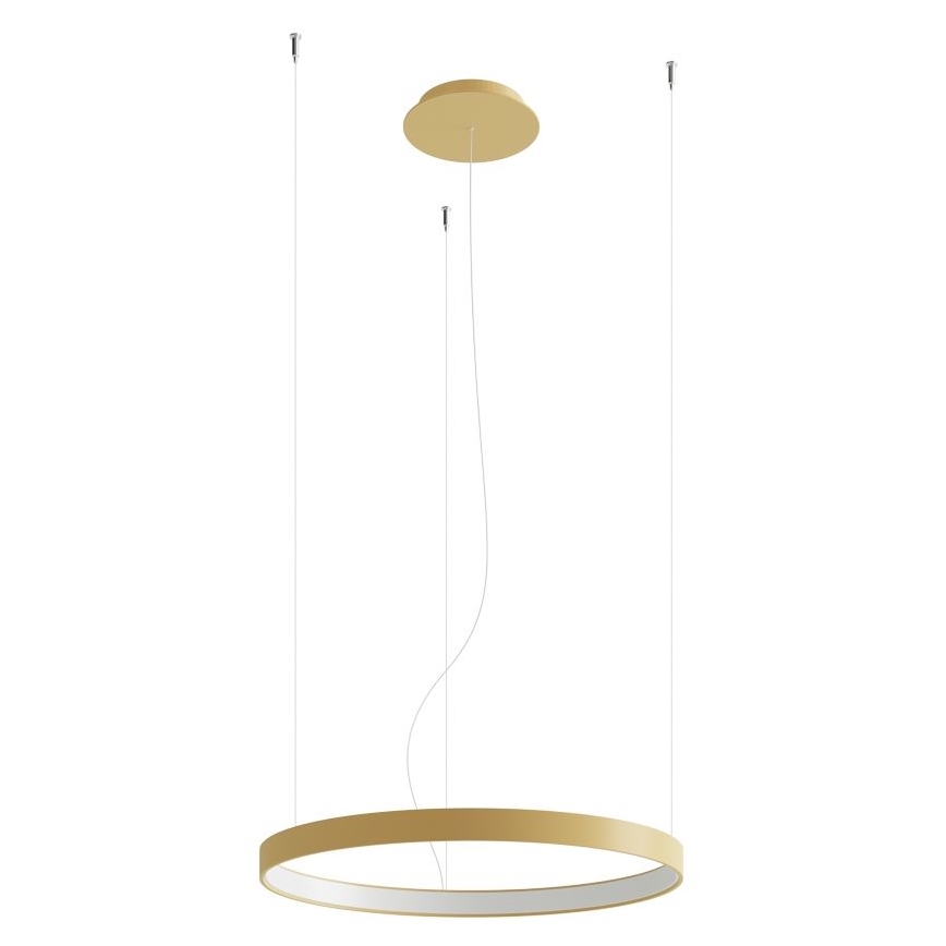 Thoro TH.217 - LED Hanglamp aan een koord RIO LED/30W/230V CRI 95 4000K diameter 55 cm goud