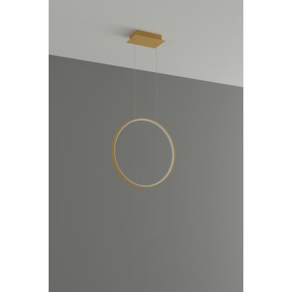 Thoro TH.220 - LED Hanglamp aan een koord RIO LED/30W/230V CRI 90 3000K diameter 55 cm goud