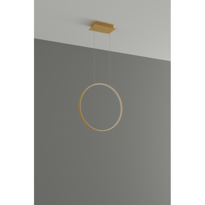 Thoro TH.220 - LED Hanglamp aan een koord RIO LED/30W/230V CRI 90 3000K diameter 55 cm goud