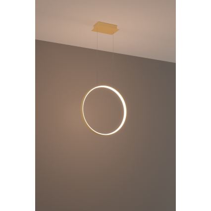 Thoro TH.220 - LED Hanglamp aan een koord RIO LED/30W/230V CRI90 3000K diameter 55 cm goud