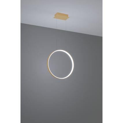 Thoro TH.221 - LED Hanglamp aan een koord RIO LED/30W/230V CRI 95 4000K diameter 55 cm goud
