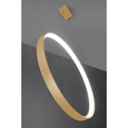 Thoro TH.221 - LED Hanglamp aan een koord RIO LED/30W/230V CRI 95 4000K diameter 55 cm goud