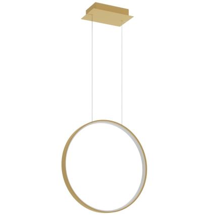 Thoro TH.221 - LED Hanglamp aan een koord RIO LED/30W/230V CRI95 4000K diameter 55 cm goud