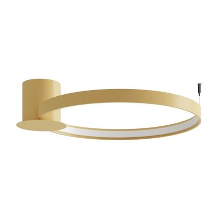 Thoro TH.222 - LED Plafondlamp RIO LED/30W/230V CRI 90 3000K diameter 55 cm goud