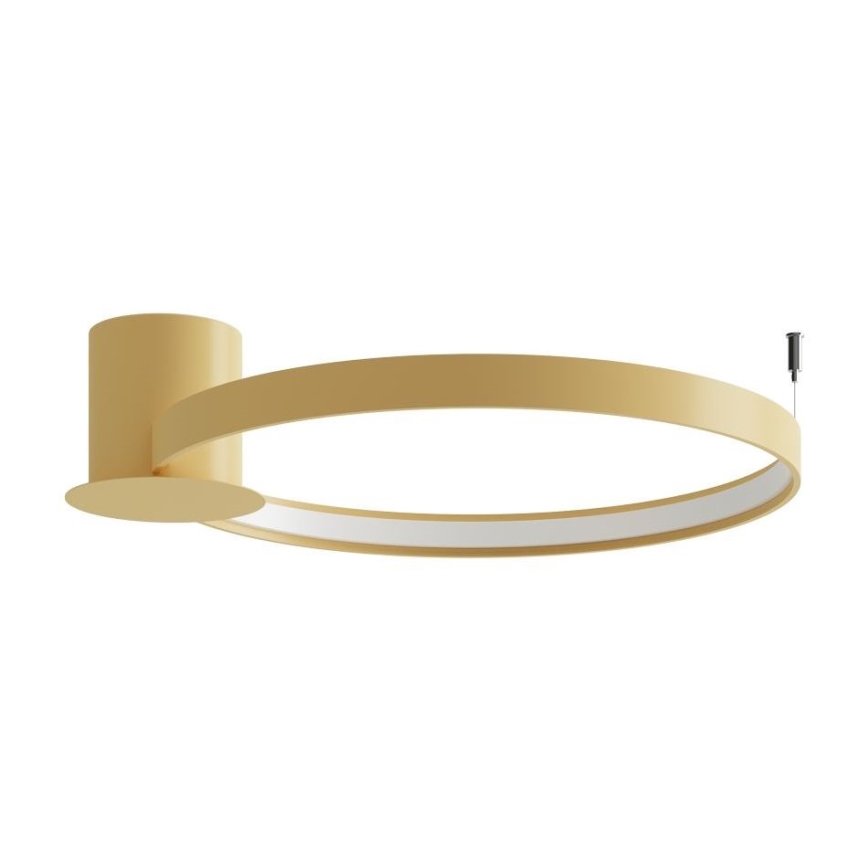 Thoro TH.222 - LED Plafondlamp RIO LED/30W/230V CRI 90 3000K diameter 55 cm goud