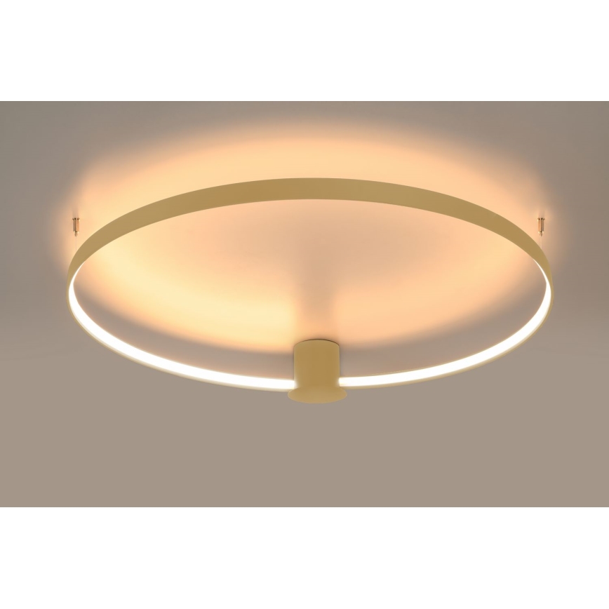 Thoro TH.222 - LED Plafondlamp RIO LED/30W/230V CRI 90 3000K diameter 55 cm goud