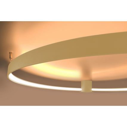 Thoro TH.222 - LED Plafondlamp RIO LED/30W/230V CRI 90 3000K diameter 55 cm goud