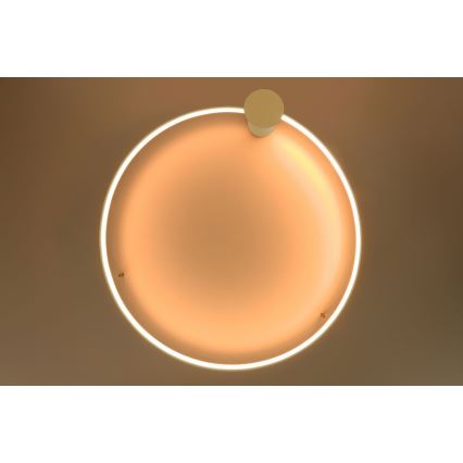Thoro TH.222 - LED Plafondlamp RIO LED/30W/230V CRI 90 3000K diameter 55 cm goud