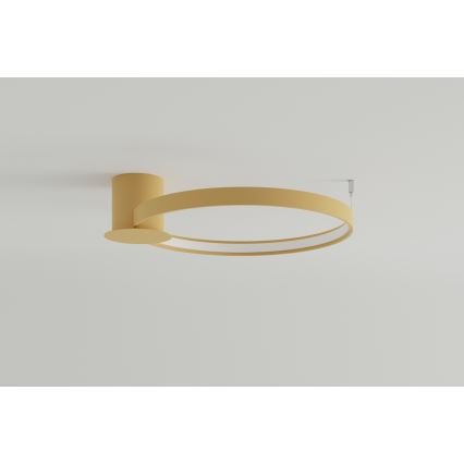 Thoro TH.223 - LED Plafondlamp RIO LED/30W/230V CRI 95 4000K diameter 55 cm goud