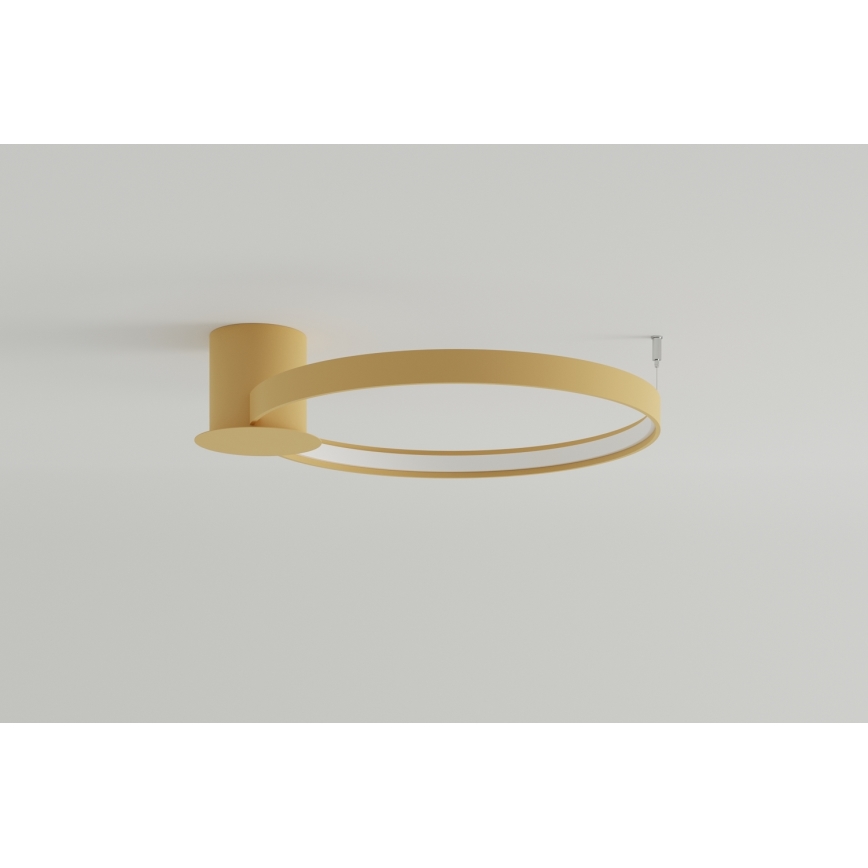 Thoro TH.223 - LED Plafondlamp RIO LED/30W/230V CRI 95 4000K diameter 55 cm goud