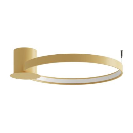 Thoro TH.223 - LED Plafondlamp RIO LED/30W/230V CRI 95 4000K diameter 55 cm goud