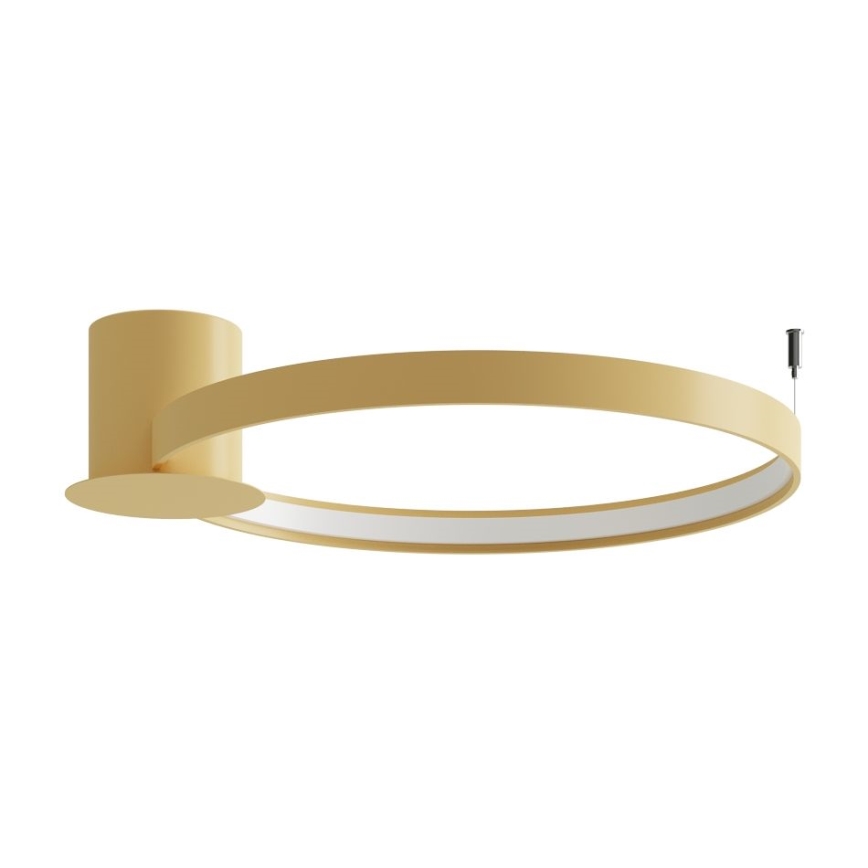 Thoro TH.223 - LED Plafondlamp RIO LED/30W/230V CRI 95 4000K diameter 55 cm goud