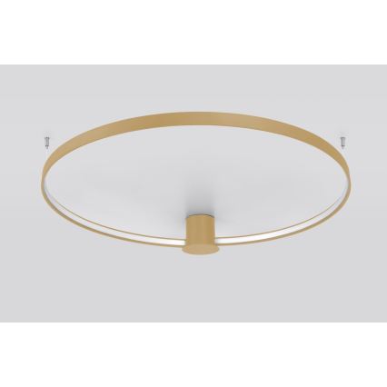 Thoro TH.223 - LED Plafondlamp RIO LED/30W/230V CRI 95 4000K diameter 55 cm goud