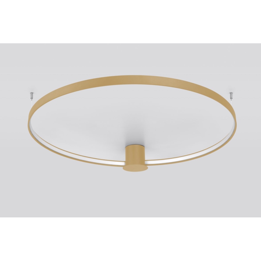 Thoro TH.223 - LED Plafondlamp RIO LED/30W/230V CRI 95 4000K diameter 55 cm goud