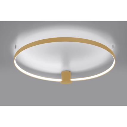 Thoro TH.223 - LED Plafondlamp RIO LED/30W/230V CRI 95 4000K diameter 55 cm goud
