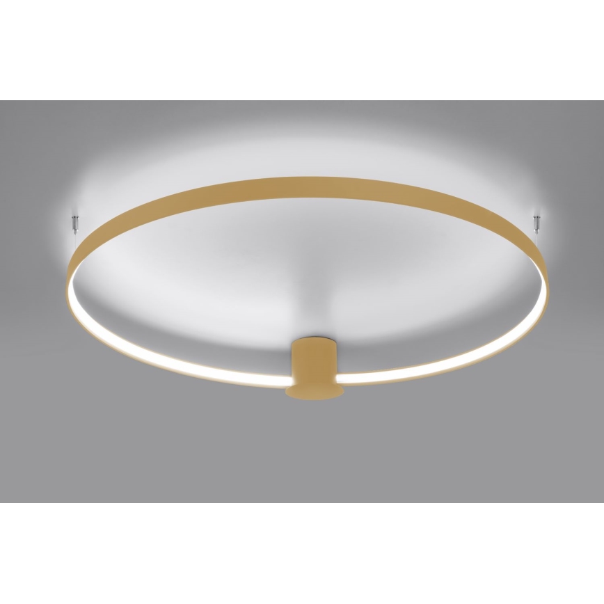 Thoro TH.223 - LED Plafondlamp RIO LED/30W/230V CRI 95 4000K diameter 55 cm goud