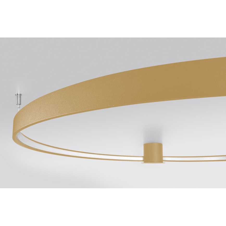 Thoro TH.223 - LED Plafondlamp RIO LED/30W/230V CRI 95 4000K diameter 55 cm goud