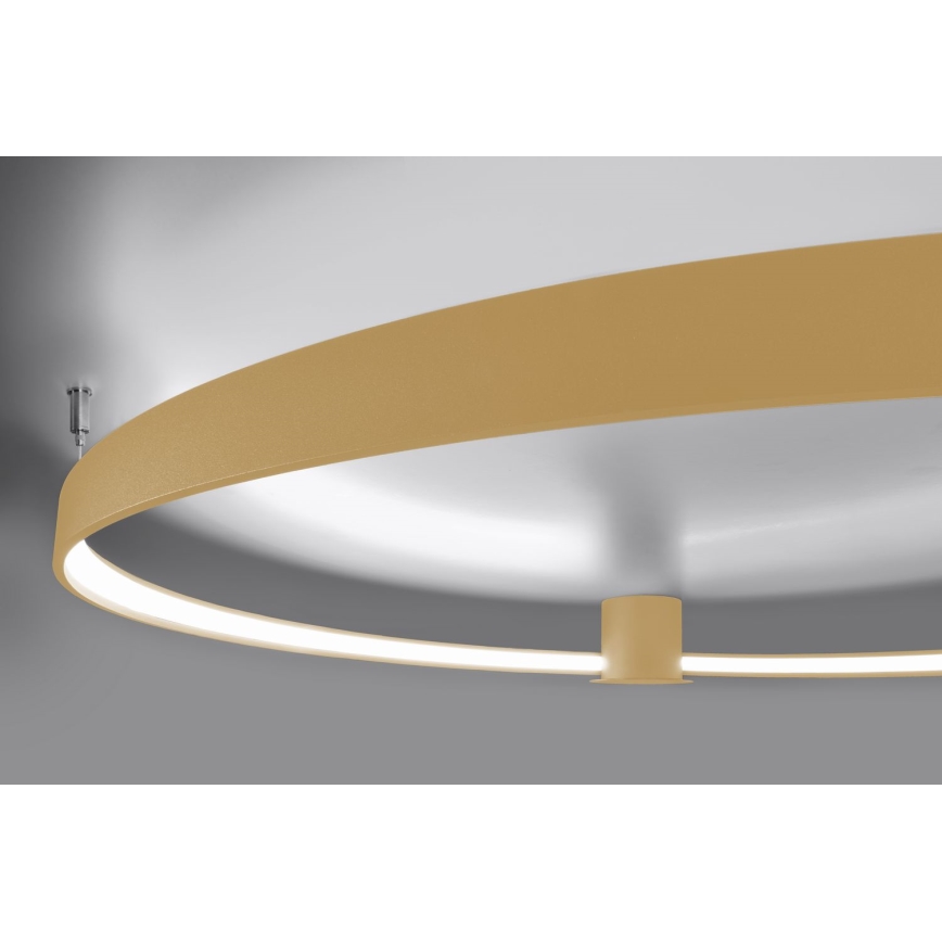 Thoro TH.223 - LED Plafondlamp RIO LED/30W/230V CRI 95 4000K diameter 55 cm goud