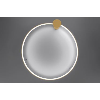 Thoro TH.223 - LED Plafondlamp RIO LED/30W/230V CRI 95 4000K diameter 55 cm goud