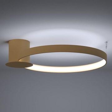 Thoro TH.223 - Plafonnier RIO LED/30W/230V CRI 95 4000K d. 55 cm doré