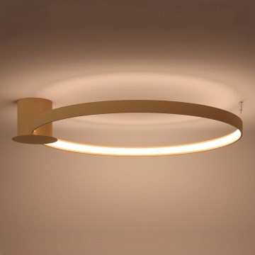 Thoro TH.224 - LED Plafondlamp RIO LED/50W/230V CRI 90 3000K diameter 78 cm goud