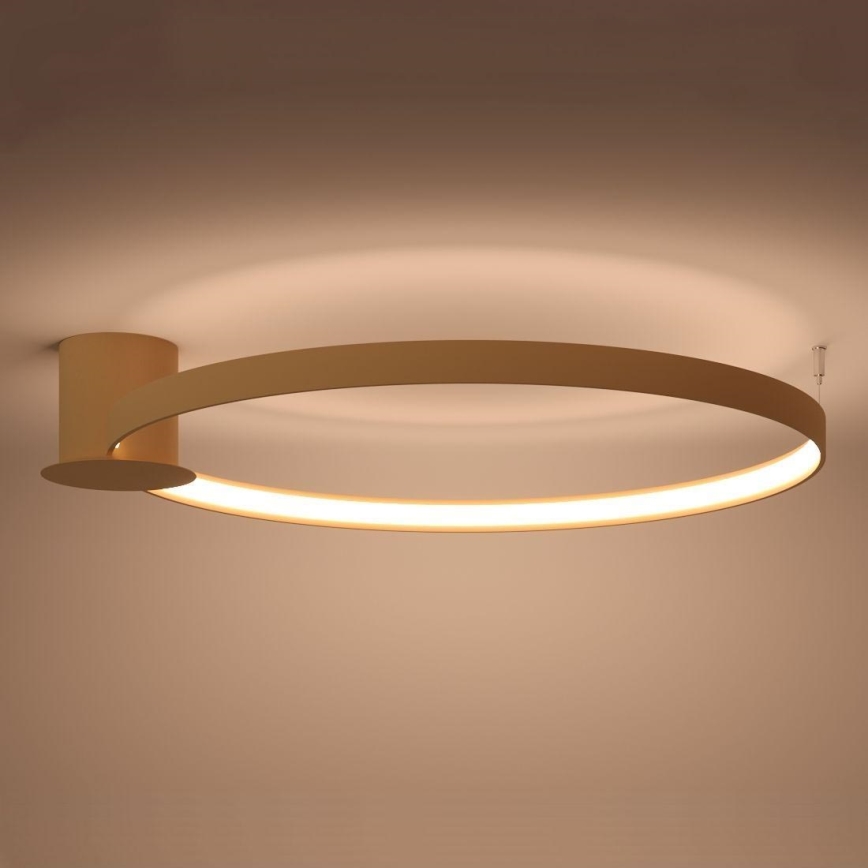 Thoro TH.224 - LED Plafondlamp RIO LED/50W/230V CRI 90 3000K diameter 78 cm goud