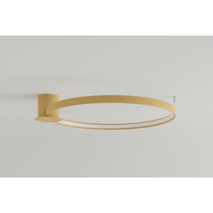 Thoro TH.224 - LED Plafondlamp RIO LED/50W/230V CRI 90 3000K diameter 78 cm goud