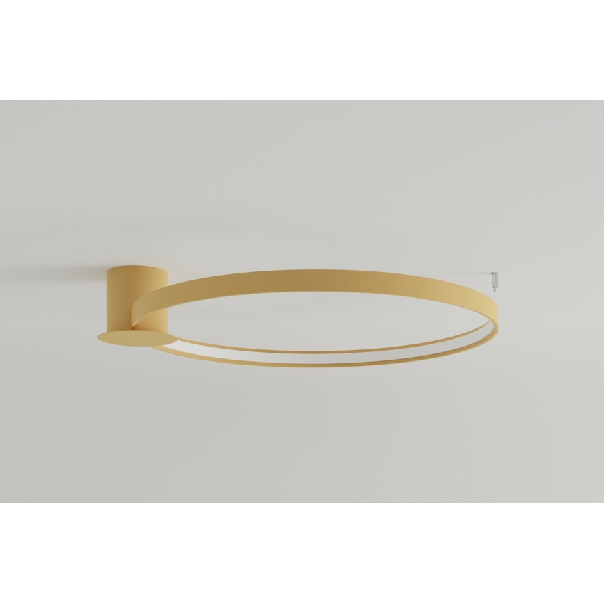 Thoro TH.224 - LED Plafondlamp RIO LED/50W/230V CRI 90 3000K diameter 78 cm goud