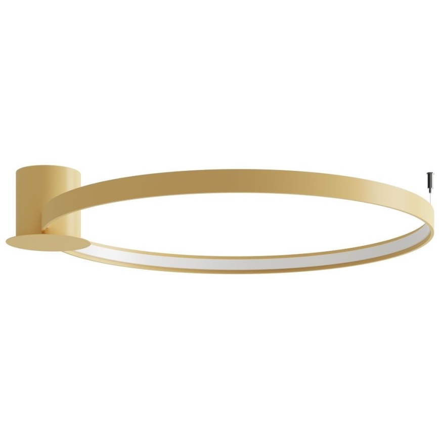 Thoro TH.224 - LED Plafondlamp RIO LED/50W/230V CRI 90 3000K diameter 78 cm goud