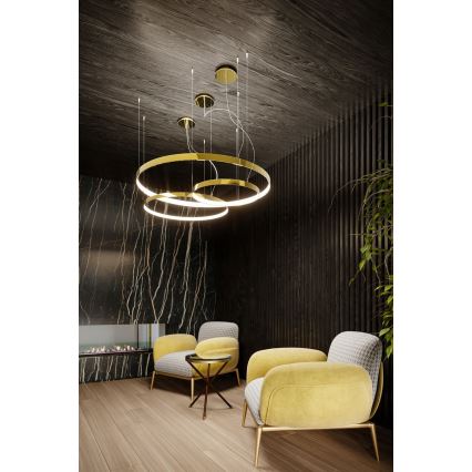 Thoro TH.246 - LED Hanglamp aan een koord RIO LED/50W/230V CRI 90 3000K diameter 78 cm goud