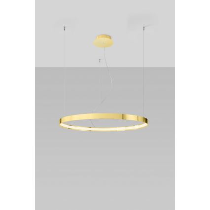 Thoro TH.246 - LED Hanglamp aan een koord RIO LED/50W/230V CRI90 3000K diameter 78 cm goud