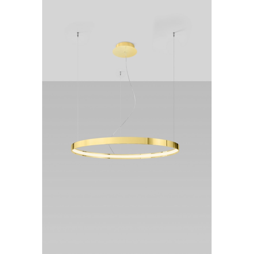 Thoro TH.246 - LED Hanglamp aan een koord RIO LED/50W/230V CRI 90 3000K diameter 78 cm goud