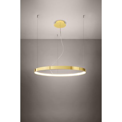 Thoro TH.246 - LED Hanglamp aan een koord RIO LED/50W/230V CRI 90 3000K diameter 78 cm goud