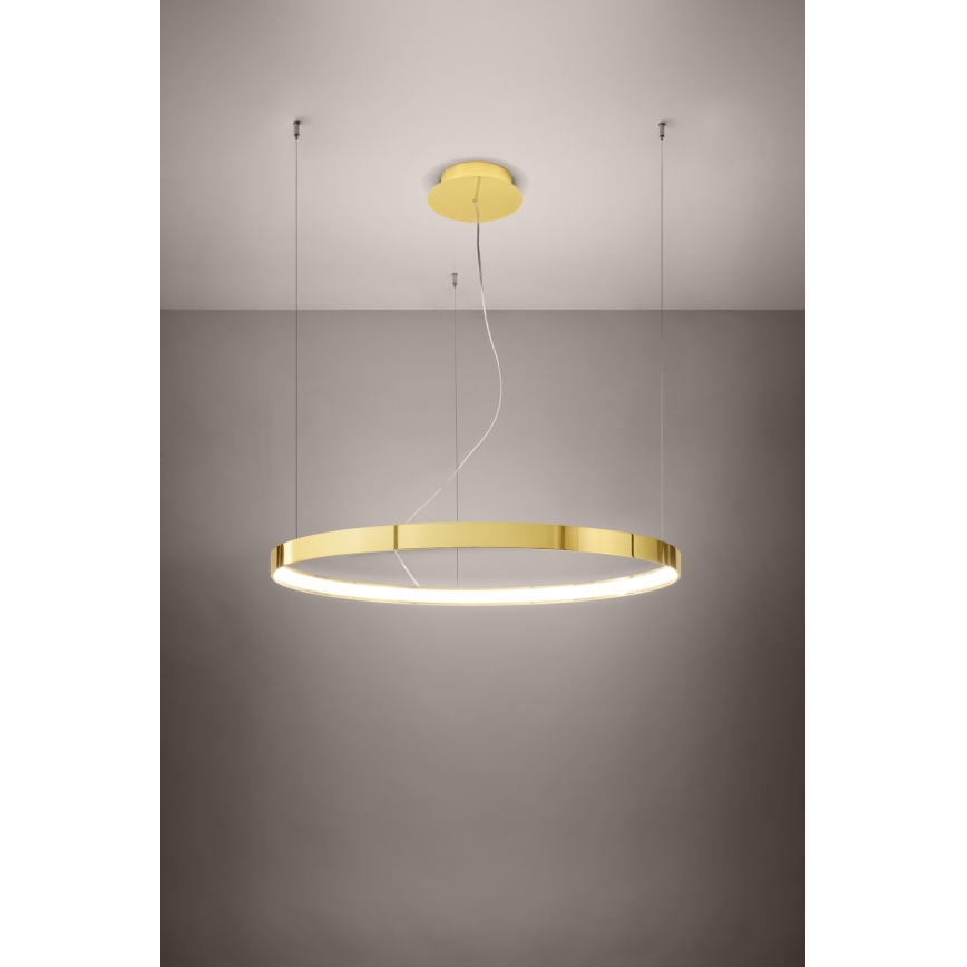 Thoro TH.246 - LED Hanglamp aan een koord RIO LED/50W/230V CRI 90 3000K diameter 78 cm goud