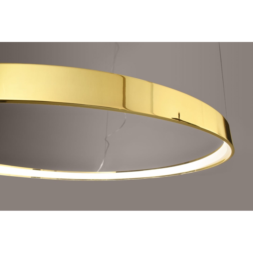 Thoro TH.246 - LED Hanglamp aan een koord RIO LED/50W/230V CRI 90 3000K diameter 78 cm goud